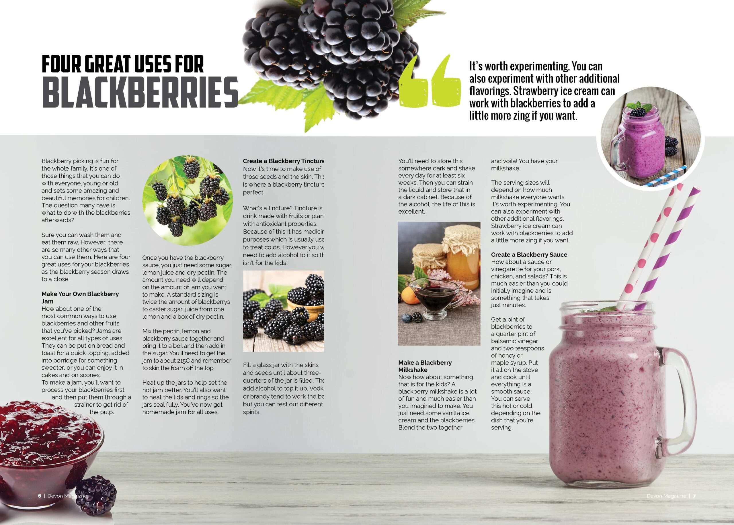 Devon Magazine Spread