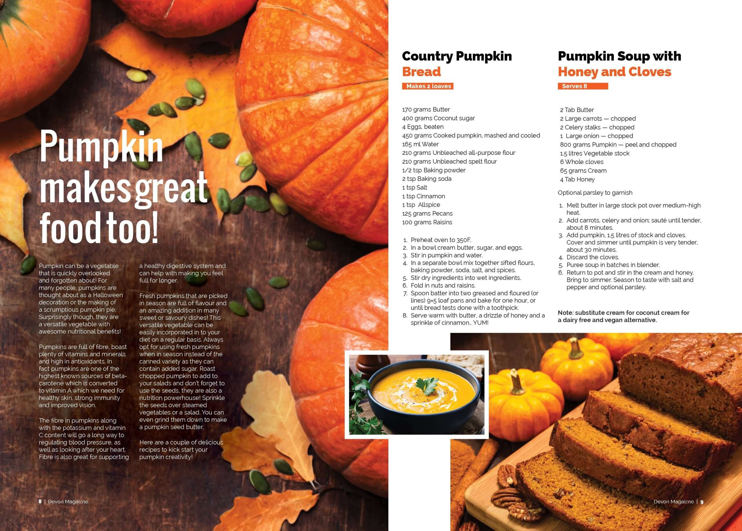 Devon Magazine Spread