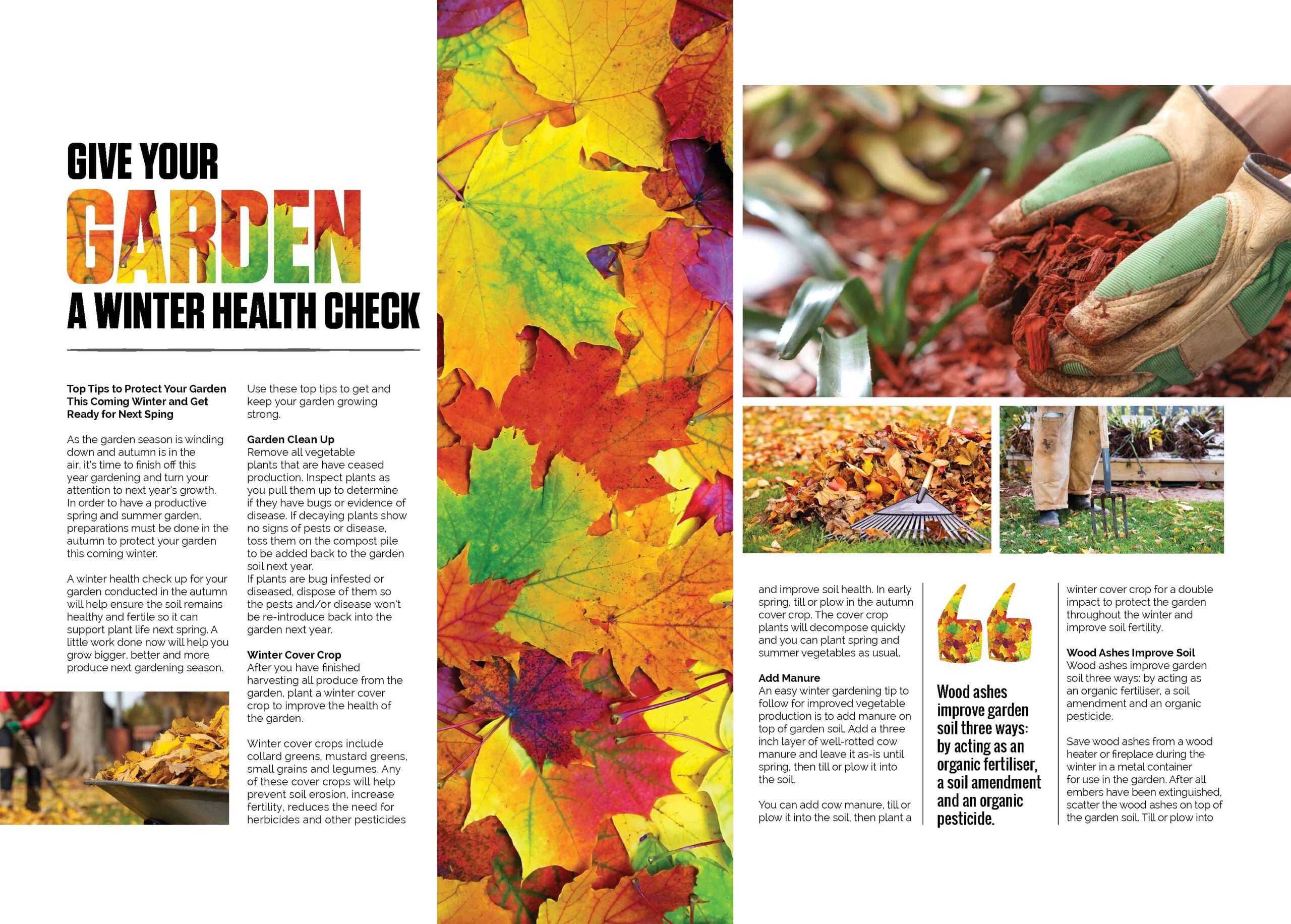 Devon Magazine Spread
