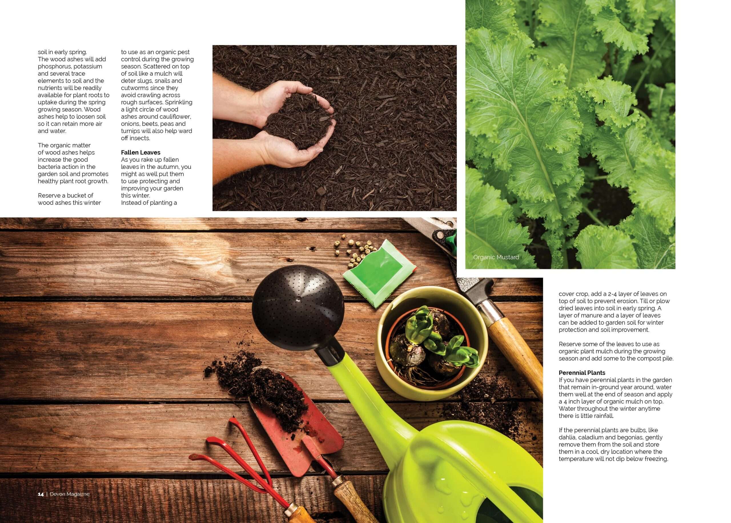 Devon Magazine Spread