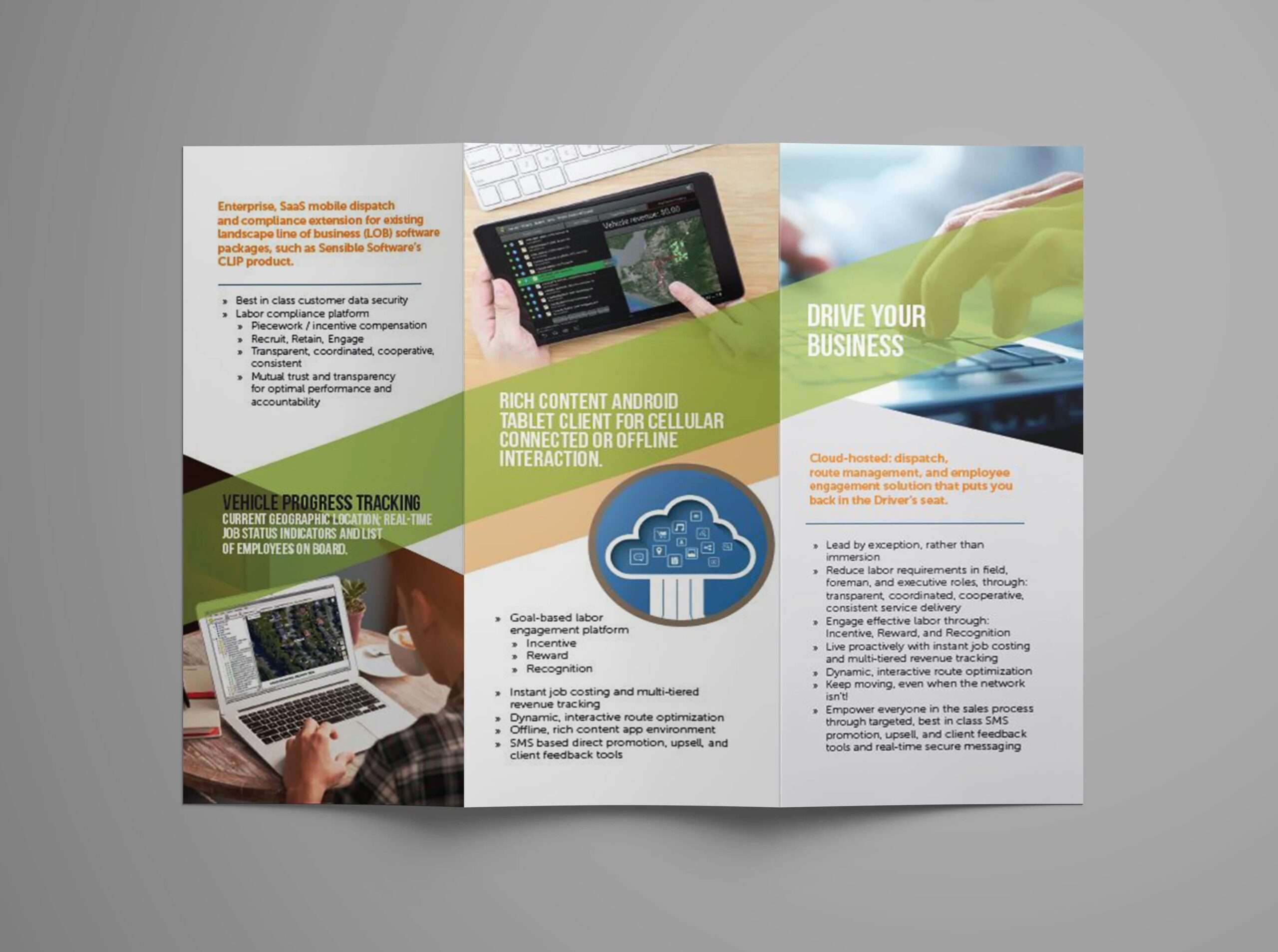 Modern Trifold Brochure